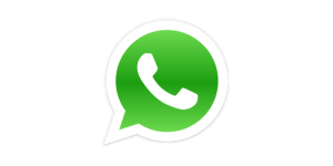 contatti trilloteam allevamento maine coon via whatsapp
