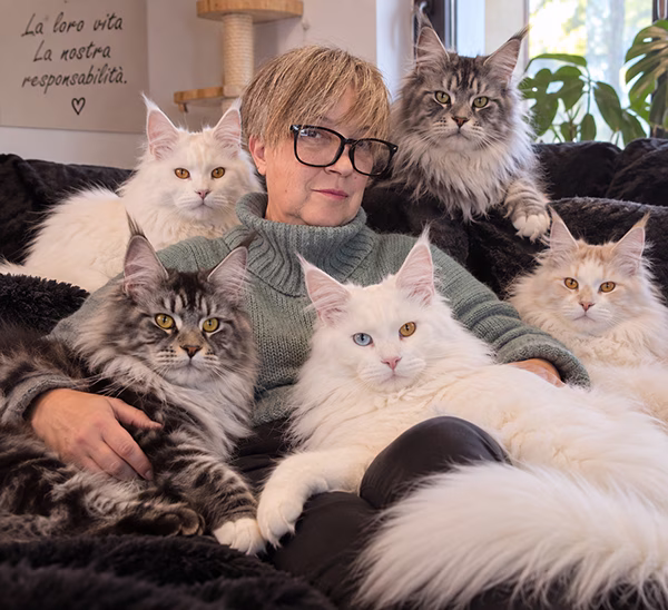 Antonella Baldaccini allevatrice Gatti Maine Coon Italia